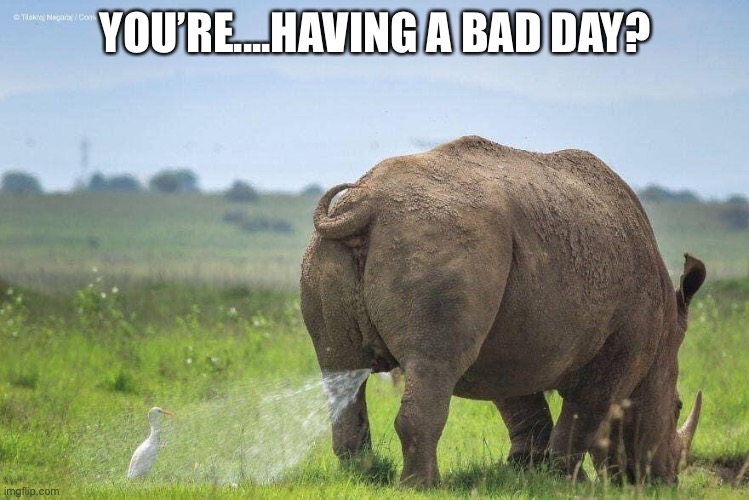Rhino pee | YOU’RE....HAVING A BAD DAY? | image tagged in rhino pee | made w/ Imgflip meme maker