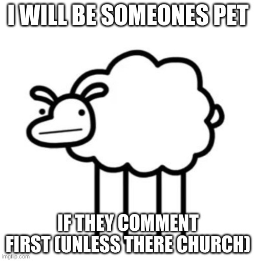 CHURCH U CAN NOT TAKE ME, im sorry, also im a sheep | I WILL BE SOMEONES PET; IF THEY COMMENT FIRST (UNLESS THERE CHURCH) | image tagged in swiftshwwp | made w/ Imgflip meme maker