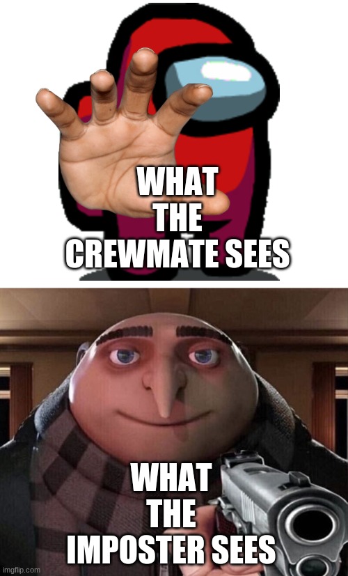 IMPOSTER.POV.MP3 | WHAT THE CREWMATE SEES; WHAT THE IMPOSTER SEES | image tagged in gru gun | made w/ Imgflip meme maker