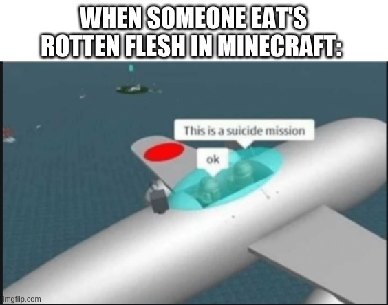 WHEN SOMEONE EAT'S ROTTEN FLESH IN MINECRAFT: | image tagged in memes,minecraft | made w/ Imgflip meme maker