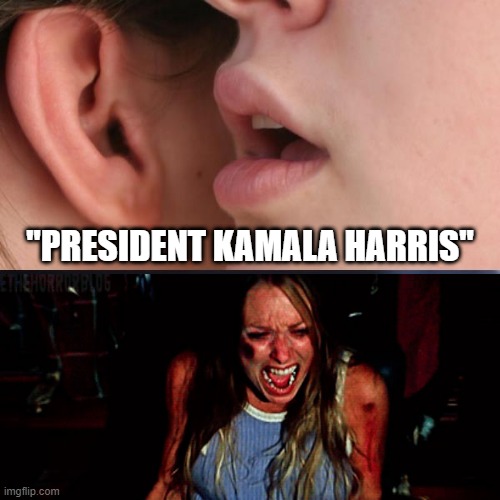 The horror! The sheer horror! | "PRESIDENT KAMALA HARRIS" | image tagged in whisper,kamala harris,texas chainsaw massacre,memes,horror | made w/ Imgflip meme maker