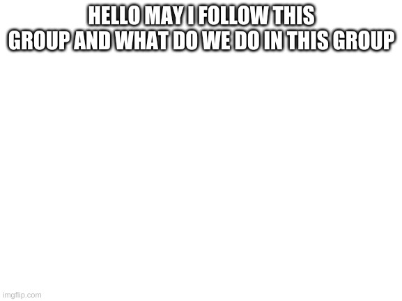 Blank White Template | HELLO MAY I FOLLOW THIS GROUP AND WHAT DO WE DO IN THIS GROUP | image tagged in blank white template | made w/ Imgflip meme maker