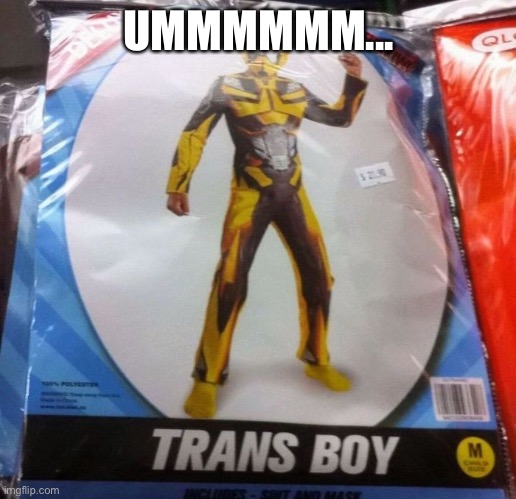 The Amazing Adventures of TransBoy | UMMMMMM... | image tagged in lol,bruh | made w/ Imgflip meme maker