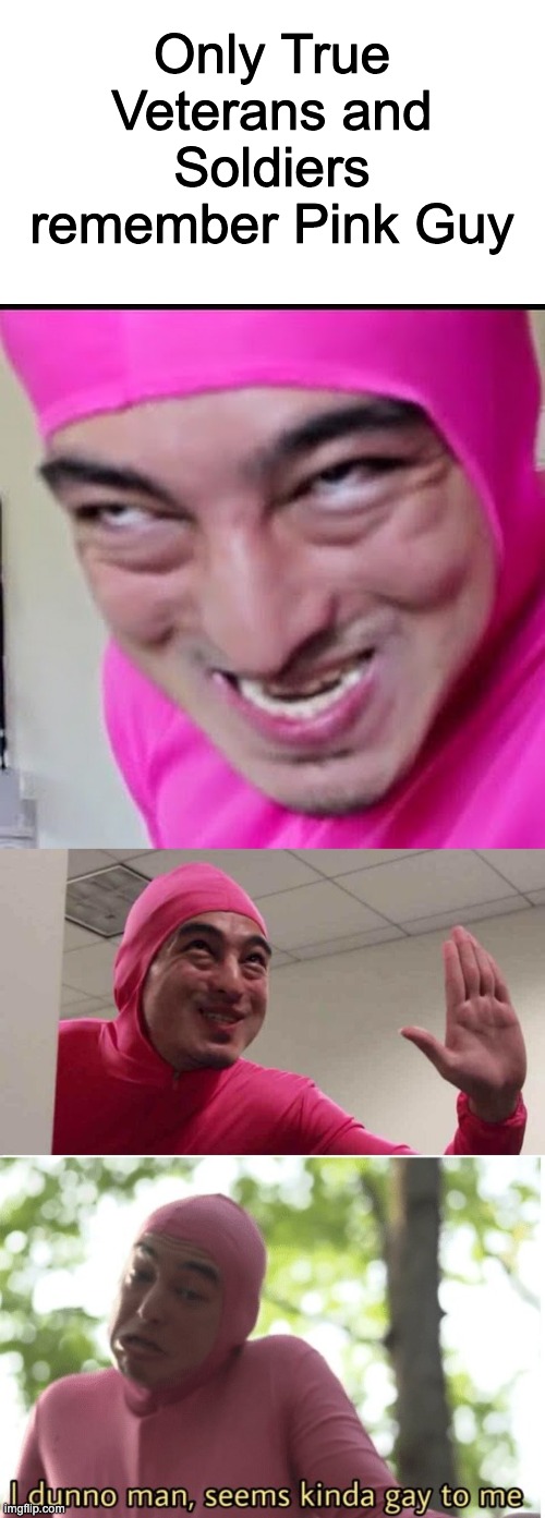 We miss u Pink Guy | Only True Veterans and Soldiers remember Pink Guy | image tagged in pink guy,ey boss filthy frank pink guy,i dunno man seems kinda gay to me | made w/ Imgflip meme maker