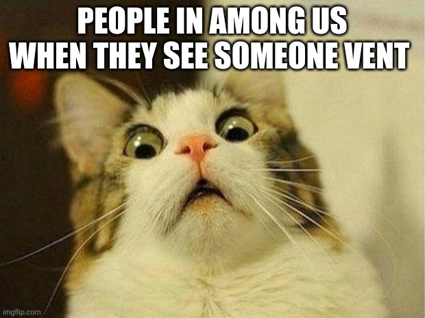 Among us players be like | PEOPLE IN AMONG US WHEN THEY SEE SOMEONE VENT | image tagged in memes,scared cat | made w/ Imgflip meme maker