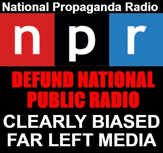 Defund NPR: National Propaganda Radio | image tagged in npr,national public radio,national propaganda radio,biased media,media bias,liberal bias | made w/ Imgflip meme maker