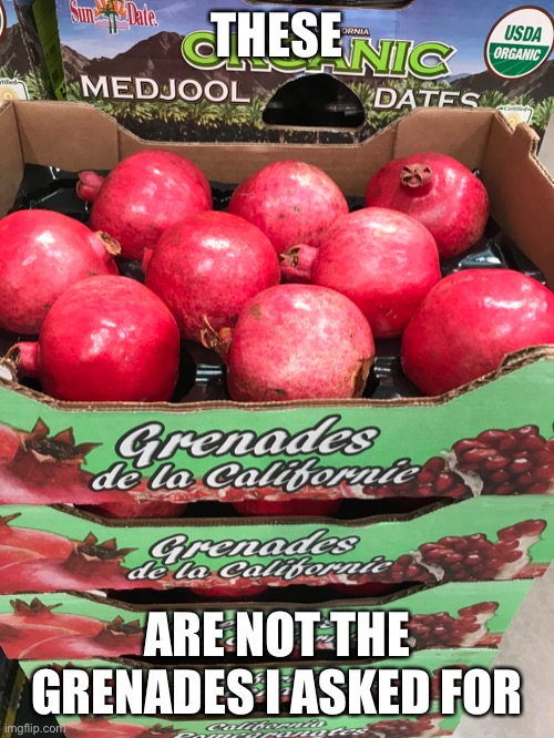 Well. When life gives you grenades | THESE; ARE NOT THE GRENADES I ASKED FOR | image tagged in oof,funny | made w/ Imgflip meme maker