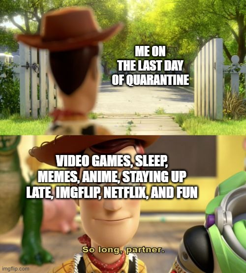 it's over... | ME ON THE LAST DAY OF QUARANTINE; VIDEO GAMES, SLEEP, MEMES, ANIME, STAYING UP LATE, IMGFLIP, NETFLIX, AND FUN | image tagged in so long partner | made w/ Imgflip meme maker