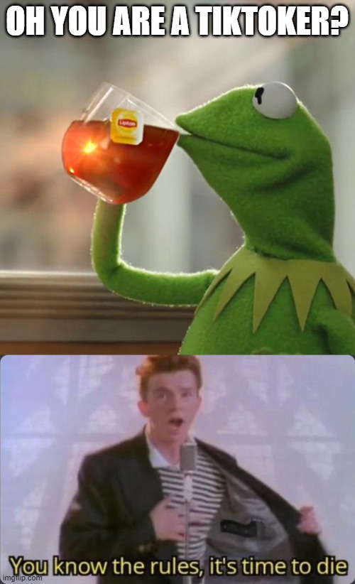yktrittd | OH YOU ARE A TIKTOKER? | image tagged in memes,but that's none of my business,you know the rules it's time to die | made w/ Imgflip meme maker