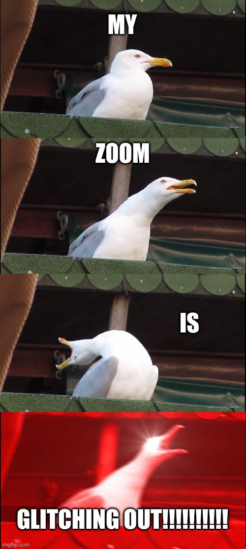 Upvote if relatable ?? | MY; ZOOM; IS; GLITCHING OUT!!!!!!!!!! | image tagged in memes,inhaling seagull | made w/ Imgflip meme maker