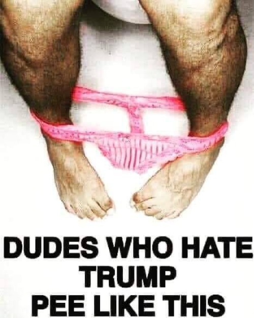 Dudes Who Hate Trump Pee Like This | image tagged in soyboys,soi boys,cucks,uncuck america,soy boys,soy boy | made w/ Imgflip meme maker