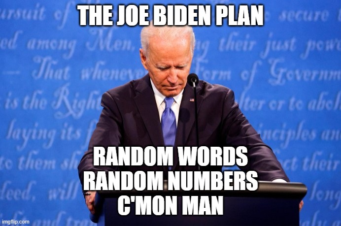 Joe Biden Defeated | THE JOE BIDEN PLAN; RANDOM WORDS
RANDOM NUMBERS
C'MON MAN | image tagged in joe biden defeated | made w/ Imgflip meme maker