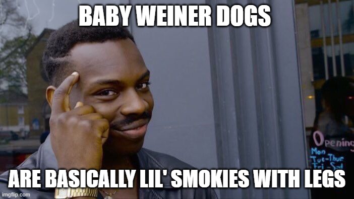 Roll Safe Think About It Meme | BABY WEINER DOGS; ARE BASICALLY LIL' SMOKIES WITH LEGS | image tagged in memes,roll safe think about it | made w/ Imgflip meme maker