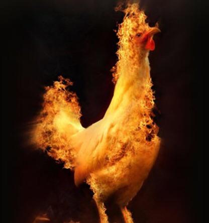 High Quality flaming chicken Blank Meme Template