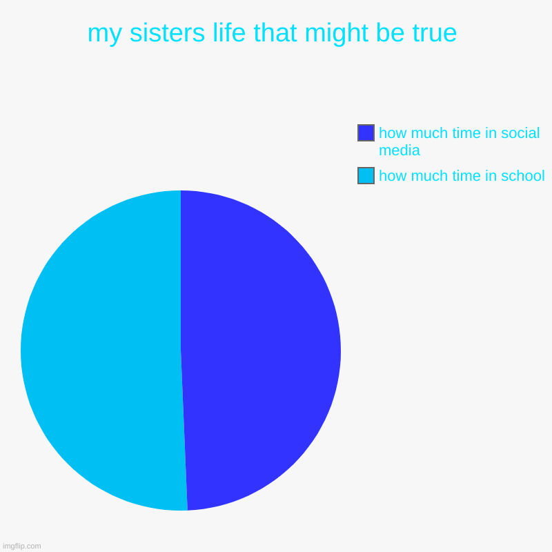 my sisters life that might be true | how much time in school, how much time in social media | image tagged in charts,pie charts | made w/ Imgflip chart maker