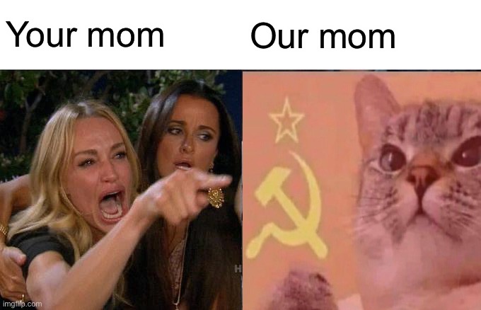 Woman Yelling At Cat Meme | Your mom Our mom | image tagged in memes,woman yelling at cat | made w/ Imgflip meme maker