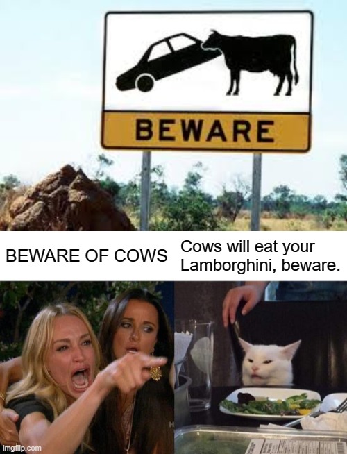 Cows and cats | BEWARE OF COWS; Cows will eat your Lamborghini, beware. | image tagged in memes,woman yelling at cat | made w/ Imgflip meme maker