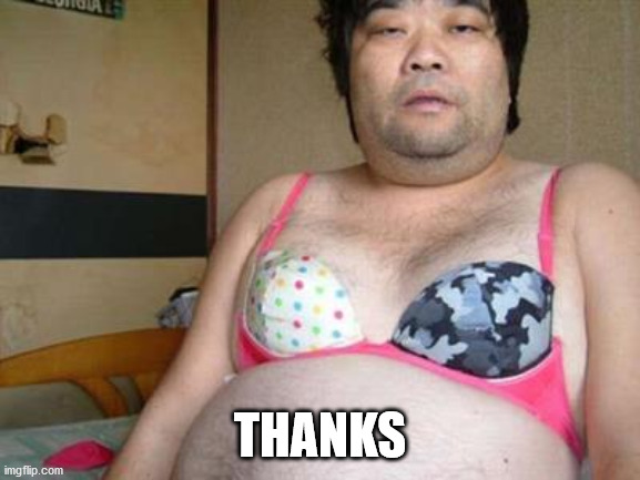 Fat Asian guy in a bra | THANKS | image tagged in fat asian guy in a bra | made w/ Imgflip meme maker