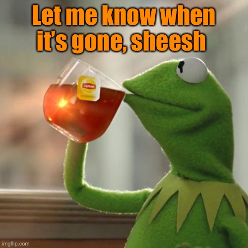 But That's None Of My Business Meme | Let me know when it’s gone, sheesh | image tagged in memes,but that's none of my business,kermit the frog | made w/ Imgflip meme maker