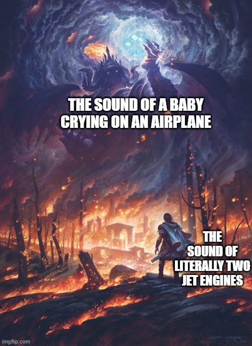 Have a nice day! | THE SOUND OF A BABY CRYING ON AN AIRPLANE; THE SOUND OF LITERALLY TWO JET ENGINES | image tagged in funny,relatable,humor,funny memes,airplane | made w/ Imgflip meme maker