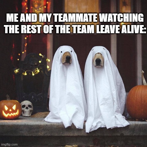 Phasmophobia | ME AND MY TEAMMATE WATCHING THE REST OF THE TEAM LEAVE ALIVE: | image tagged in ghosts | made w/ Imgflip meme maker