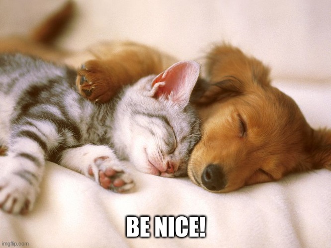 Be Nice! | BE NICE! | image tagged in funny | made w/ Imgflip meme maker