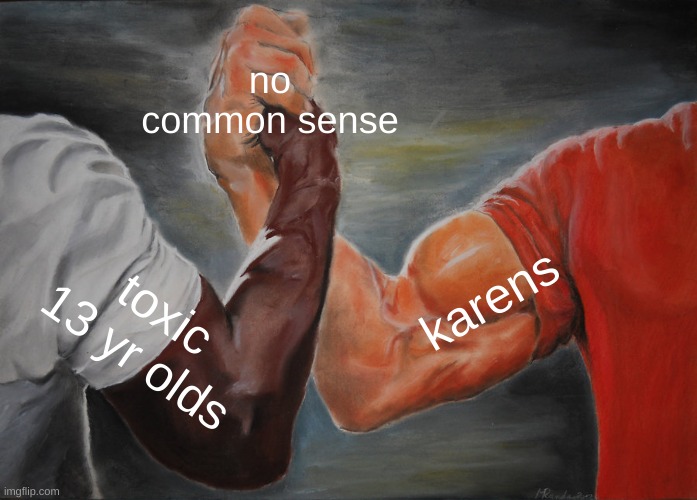 karens versus toxic 13 yr olds | no common sense; karens; toxic 13 yr olds | image tagged in memes,epic handshake | made w/ Imgflip meme maker