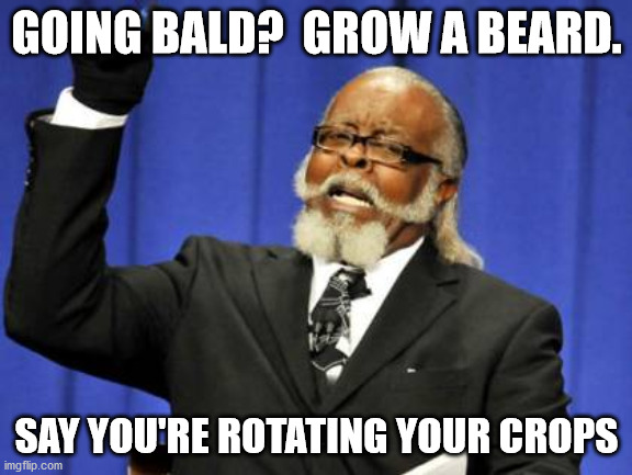 Too Damn High | GOING BALD?  GROW A BEARD. SAY YOU'RE ROTATING YOUR CROPS | image tagged in memes,too damn high | made w/ Imgflip meme maker