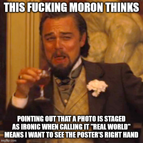 Laughing Leo Meme | THIS FUCKING MORON THINKS POINTING OUT THAT A PHOTO IS STAGED AS IRONIC WHEN CALLING IT "REAL WORLD" MEANS I WANT TO SEE THE POSTER'S RIGHT  | image tagged in memes,laughing leo | made w/ Imgflip meme maker