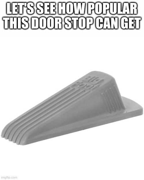 Doorstop | LET'S SEE HOW POPULAR THIS DOOR STOP CAN GET | image tagged in memes,funny,pandaboyplaysyt,stupid | made w/ Imgflip meme maker