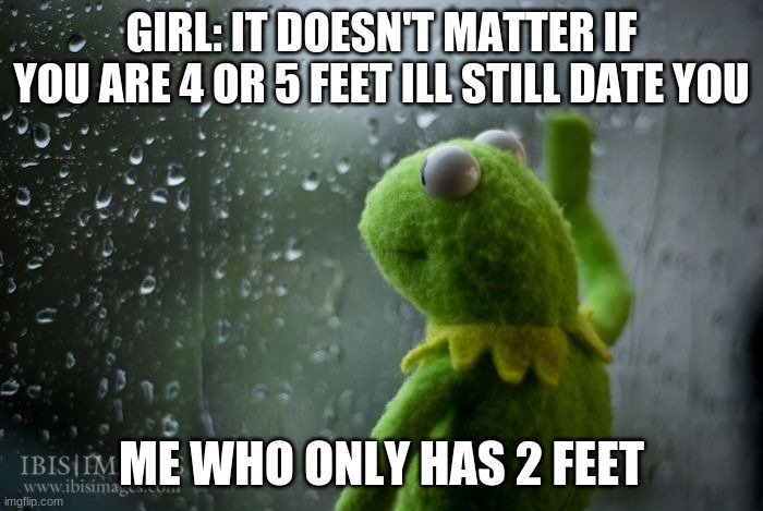 Kermit sad | GIRL: IT DOESN'T MATTER IF YOU ARE 4 OR 5 FEET ILL STILL DATE YOU; ME WHO ONLY HAS 2 FEET | image tagged in kermit window | made w/ Imgflip meme maker