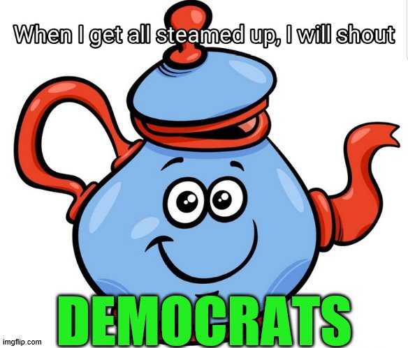 DEMOCRATS | image tagged in shout | made w/ Imgflip meme maker