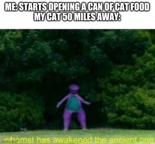 you get the gist | ME: STARTS OPENING A CAN OF CAT FOOD
MY CAT 50 MILES AWAY: | image tagged in whomst has awakened the ancient one,cats,memes,funny | made w/ Imgflip meme maker