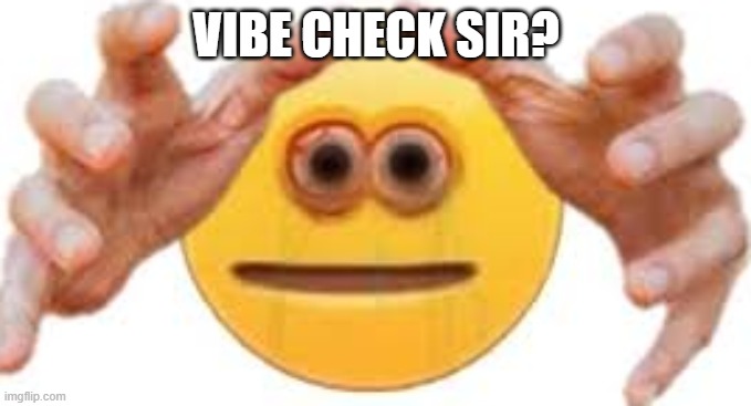 VIBE CHECK SIR? | made w/ Imgflip meme maker
