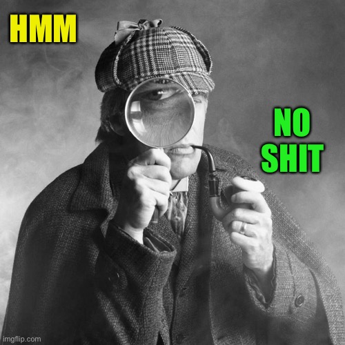 Sherlock Holmes | HMM NO SHIT | image tagged in sherlock holmes | made w/ Imgflip meme maker