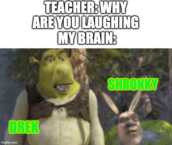 HAHAHHAHAHHAAHhahahahhahahaha | TEACHER: WHY ARE YOU LAUGHING; MY BRAIN:; SHRONKY; DREK | image tagged in shrek | made w/ Imgflip meme maker