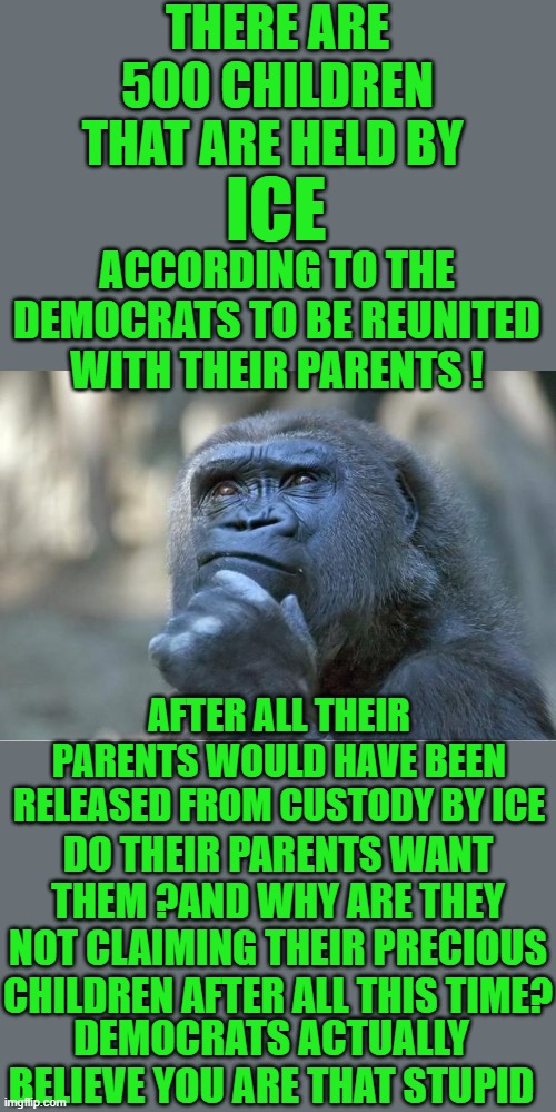 really now | THERE ARE 500 CHILDREN THAT ARE HELD BY; ICE; ACCORDING TO THE DEMOCRATS TO BE REUNITED WITH THEIR PARENTS ! AFTER ALL THEIR PARENTS WOULD HAVE BEEN RELEASED FROM CUSTODY BY ICE; DO THEIR PARENTS WANT THEM ?AND WHY ARE THEY NOT CLAIMING THEIR PRECIOUS CHILDREN AFTER ALL THIS TIME? DEMOCRATS ACTUALLY BELIEVE YOU ARE THAT STUPID | image tagged in ice,democrats,socialism,fake news | made w/ Imgflip meme maker