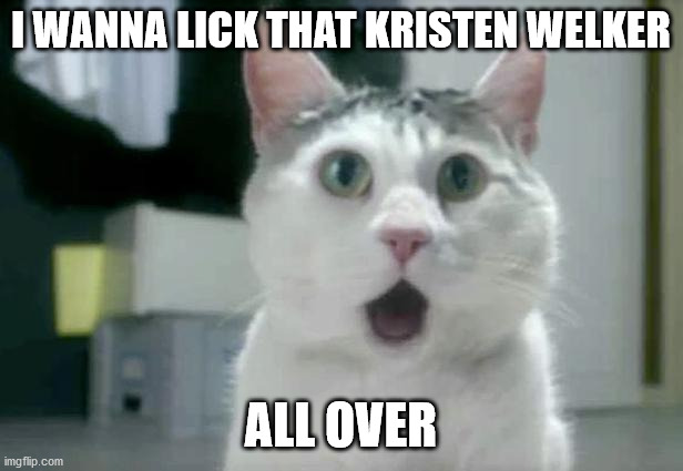 OMG Cat | I WANNA LICK THAT KRISTEN WELKER; ALL OVER | image tagged in memes,omg cat | made w/ Imgflip meme maker