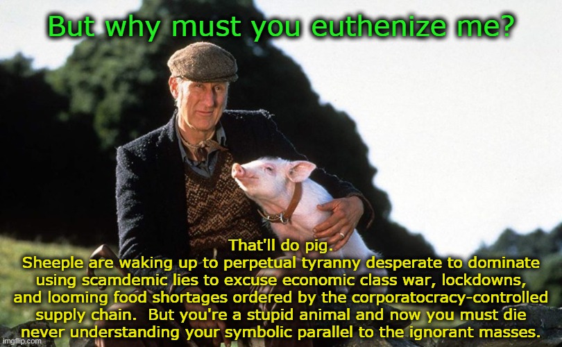 But why must you... | But why must you euthenize me? That'll do pig.
Sheeple are waking up to perpetual tyranny desperate to dominate
using scamdemic lies to excuse economic class war, lockdowns,
and looming food shortages ordered by the corporatocracy-controlled
supply chain.  But you're a stupid animal and now you must die
never understanding your symbolic parallel to the ignorant masses. | image tagged in babe pig,covid-19,scamdemic,corporatocracy,tyranny,food | made w/ Imgflip meme maker