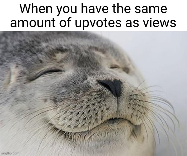 That 1:1 ratio tho | When you have the same amount of upvotes as views | image tagged in memes,satisfied seal,funny | made w/ Imgflip meme maker