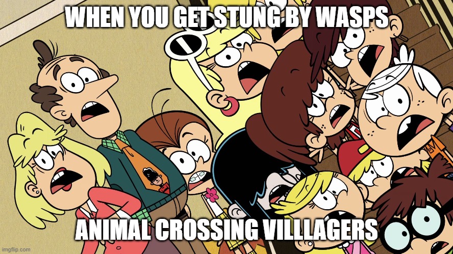 The Loud House shocked reaction |  WHEN YOU GET STUNG BY WASPS; ANIMAL CROSSING VILLLAGERS | image tagged in the loud house shocked reaction | made w/ Imgflip meme maker