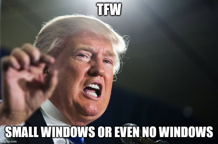 Who the hell actually took this statement seriously | TFW; SMALL WINDOWS OR EVEN NO WINDOWS | image tagged in donald trump,2020 elections,presidential debate,political meme,politics,climate change | made w/ Imgflip meme maker
