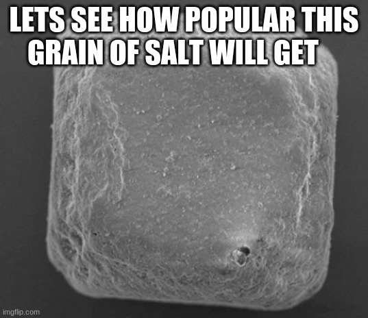 sodium | LETS SEE HOW POPULAR THIS GRAIN OF SALT WILL GET | image tagged in salt,bob ross,egg,bullies,popularity | made w/ Imgflip meme maker