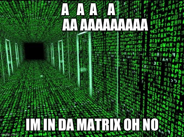 Matrix hallway code | A   A  A    A              AA AAAAAAAAA IM IN DA MATRIX OH NO | image tagged in matrix hallway code | made w/ Imgflip meme maker