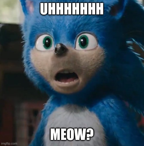 Sonic Movie | UHHHHHHH MEOW? | image tagged in sonic movie | made w/ Imgflip meme maker