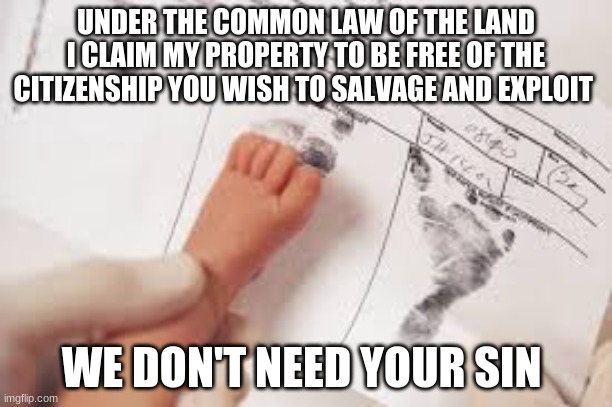 UNDER THE COMMON LAW OF THE LAND I CLAIM MY PROPERTY TO BE FREE OF THE CITIZENSHIP YOU WISH TO SALVAGE AND EXPLOIT; WE DON'T NEED YOUR SIN | image tagged in politics | made w/ Imgflip meme maker