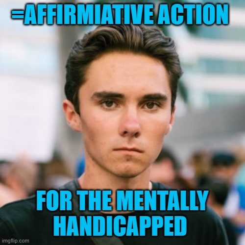 David Hogg | =AFFIRMIATIVE ACTION FOR THE MENTALLY HANDICAPPED | image tagged in david hogg | made w/ Imgflip meme maker