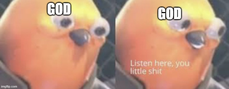 Listen here you little shit bird | GOD GOD | image tagged in listen here you little shit bird | made w/ Imgflip meme maker