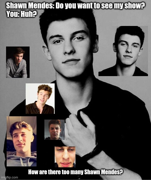 Shawn Mendes Is Crazy | Shawn Mendes: Do you want to see my show?
You: Huh? How are there too many Shawn Mendes? | image tagged in shawn mendes | made w/ Imgflip meme maker
