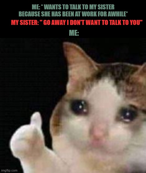 True Story, She actually has friends to talk to, I don't. | ME: * WANTS TO TALK TO MY SISTER BECAUSE SHE HAS BEEN AT WORK FOR AWHILE*; MY SISTER: " GO AWAY I DON'T WANT TO TALK TO YOU"; ME: | image tagged in approved crying cat,true story | made w/ Imgflip meme maker